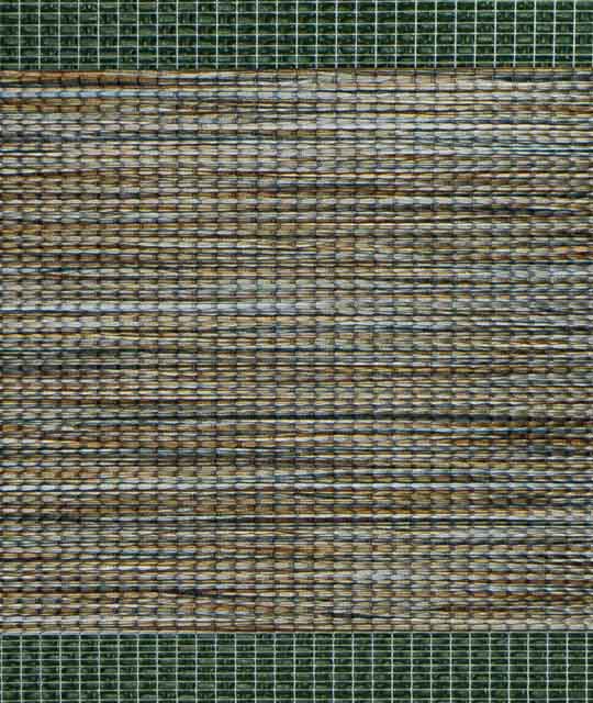 Zebra Shades in Tan Color Plain Pattern - MG8-2 Decor