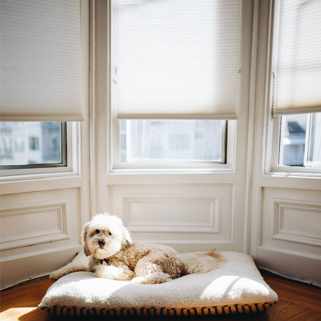 Cellular shades.