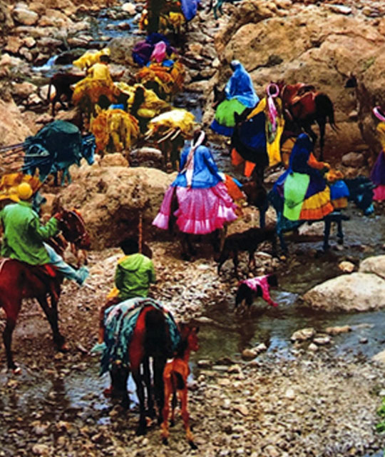 Nomads